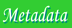 メタデータ株式会社　ロゴ