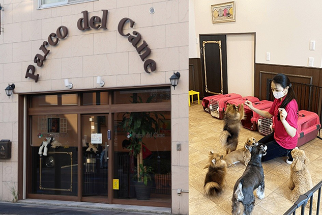 パルコ・デル・カーネでは、しつけや高齢犬のケア、マッサージや歯磨きといった幅広いサービス提供中の様子